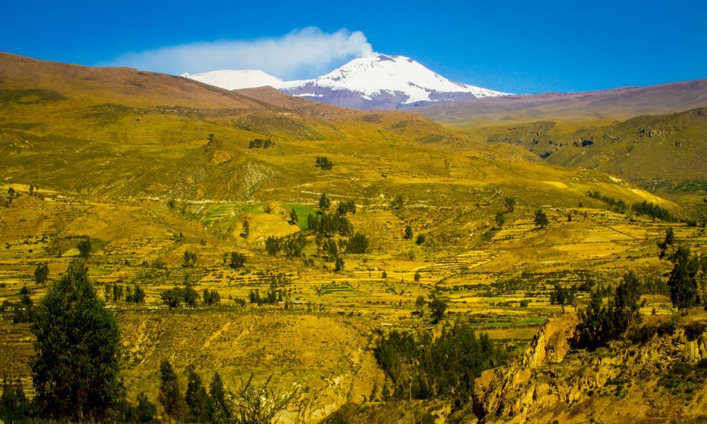 Eco Inn Colca Янке Экстерьер фото