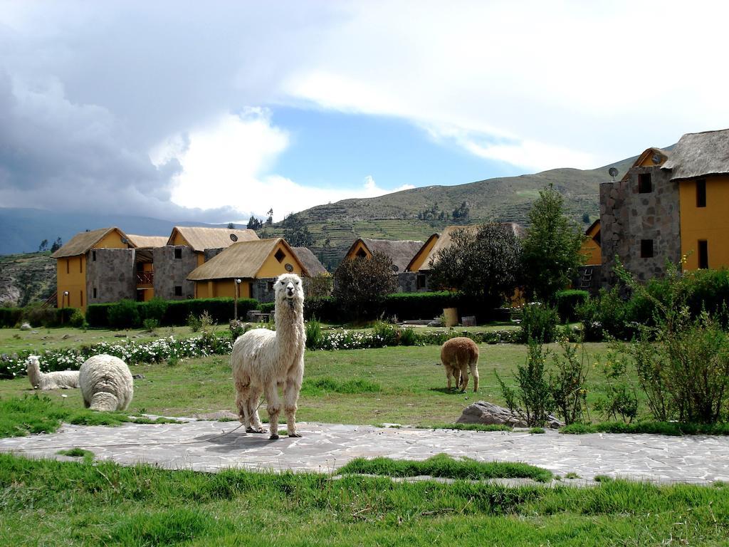 Eco Inn Colca Янке Экстерьер фото